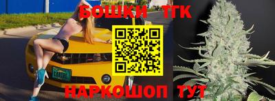 индика Комсомольск-на-Амуре