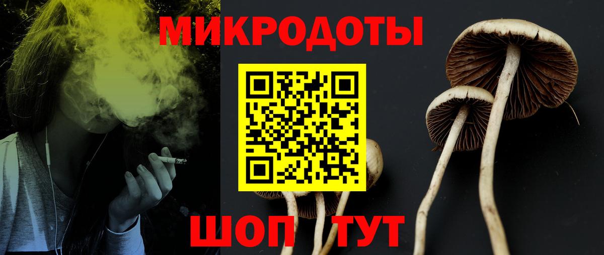 Псилоцибиновые грибы Magic Shrooms Шали